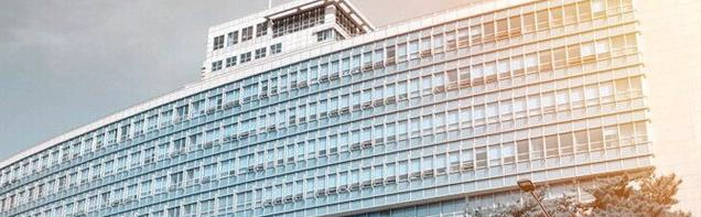 弘益大学