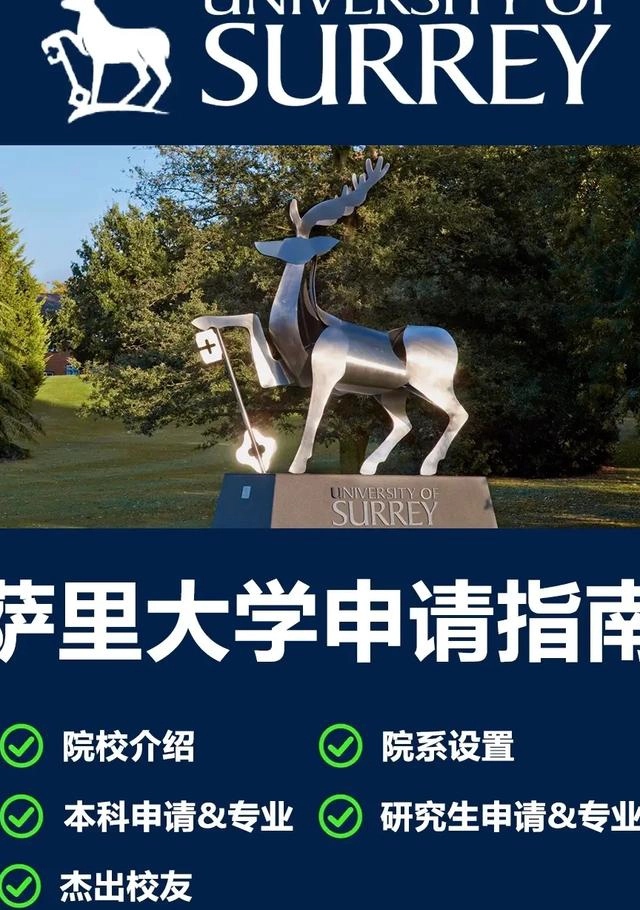 萨里大学